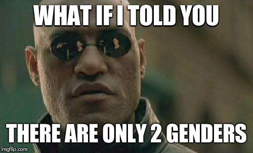 I'M TRIGGERED | WHAT IF I TOLD YOU; THERE ARE ONLY 2 GENDERS | image tagged in memes,matrix morpheus,gender,stupidity,triggered | made w/ Imgflip meme maker