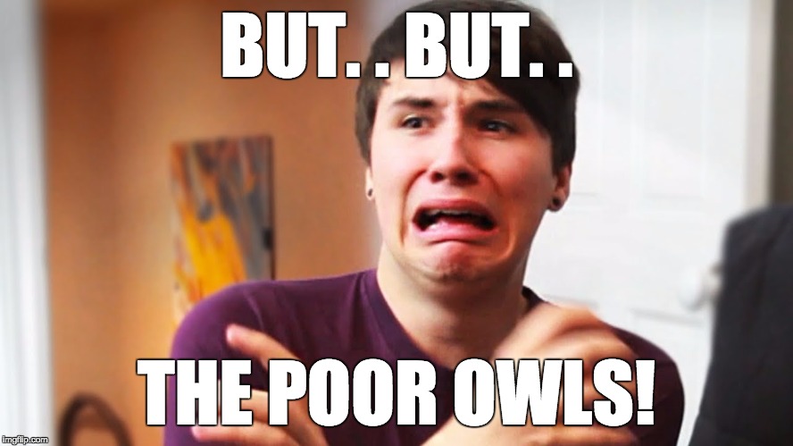 BUT. . BUT. . THE POOR OWLS! | made w/ Imgflip meme maker