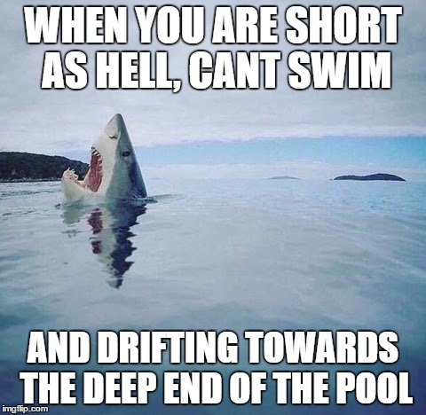 Haaaalp! | WHEN YOU ARE SHORT AS HELL, CANT SWIM; AND DRIFTING TOWARDS THE DEEP END OF THE POOL | image tagged in shark_head_out_of_water,short,tippytoe,drowning | made w/ Imgflip meme maker