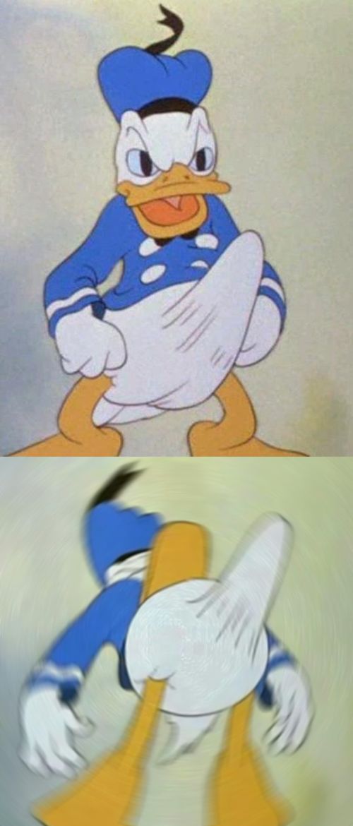 donald duck boner Blank Meme Template