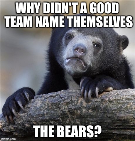 Confession Bear Meme | WHY DIDN'T A GOOD TEAM NAME THEMSELVES; THE BEARS? | image tagged in memes,confession bear | made w/ Imgflip meme maker