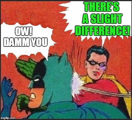 Robin slaps | THERE'S A SLIGHT DIFFERENCE! OW!  DAMM YOU | image tagged in robin slaps | made w/ Imgflip meme maker