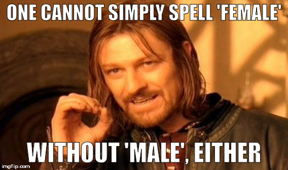 One Does Not Simply Meme | ONE CANNOT SIMPLY SPELL 'FEMALE' WITHOUT 'MALE', EITHER | image tagged in memes,one does not simply | made w/ Imgflip meme maker