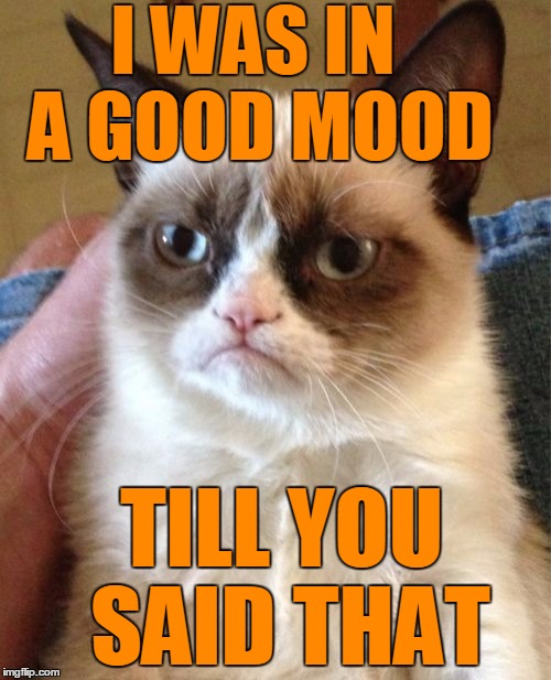 Grumpy Cat Meme | I WAS IN A GOOD MOOD TILL YOU SAID THAT | image tagged in memes,grumpy cat | made w/ Imgflip meme maker