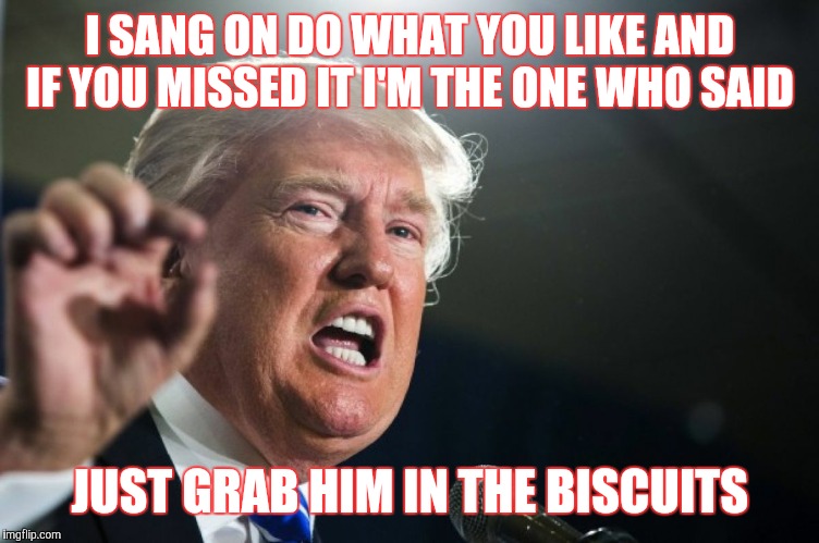 donald trump | I SANG ON DO WHAT YOU LIKE AND IF YOU MISSED IT I'M THE ONE WHO SAID; JUST GRAB HIM IN THE BISCUITS | image tagged in donald trump | made w/ Imgflip meme maker