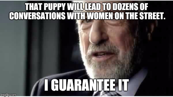 I guarantee it 2 | THAT PUPPY WILL LEAD TO DOZENS OF CONVERSATIONS WITH WOMEN ON THE STREET. I GUARANTEE IT | image tagged in i guarantee it 2 | made w/ Imgflip meme maker