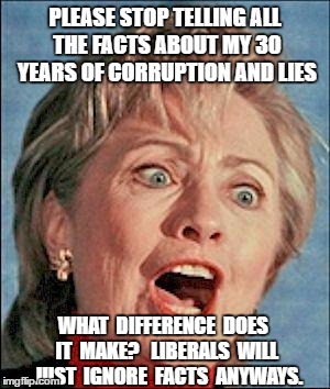 Ugly Hillary Clinton |  PLEASE STOP TELLING ALL THE FACTS ABOUT MY 30 YEARS OF CORRUPTION AND LIES; WHAT  DIFFERENCE  DOES  IT  MAKE?  
LIBERALS  WILL  JUST  IGNORE  FACTS  ANYWAYS. | image tagged in ugly hillary clinton | made w/ Imgflip meme maker