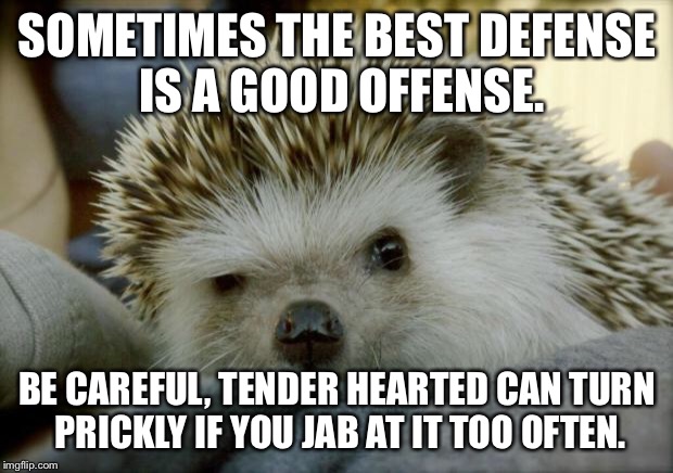 Paranoid Hedgehog  | SOMETIMES THE BEST DEFENSE IS A GOOD OFFENSE. BE CAREFUL, TENDER HEARTED CAN TURN PRICKLY IF YOU JAB AT IT TOO OFTEN. | image tagged in paranoid hedgehog | made w/ Imgflip meme maker