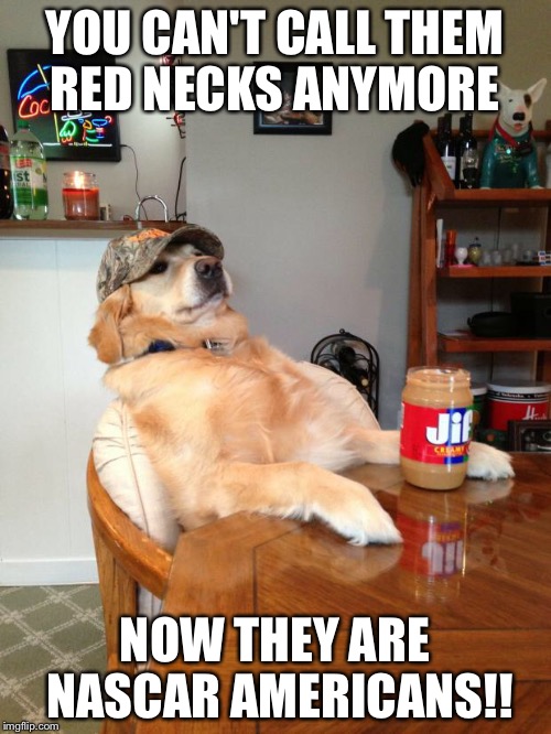 red neck reatrever  | YOU CAN'T CALL THEM RED NECKS ANYMORE; NOW THEY ARE NASCAR AMERICANS!! | image tagged in red neck reatrever | made w/ Imgflip meme maker