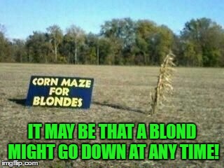 IT MAY BE THAT A BLOND MIGHT GO DOWN AT ANY TIME! | made w/ Imgflip meme maker
