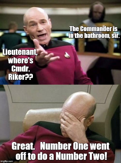 Star Trek bathroom humor | The Commander is in the bathroom, sir. Lieutenant, where's Cmdr. Riker?? Great.   Number One went off to do a Number Two! | image tagged in picard wtf,captain picard facepalm,bad pun picard | made w/ Imgflip meme maker