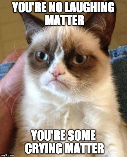 Grumpy Cat Meme | YOU'RE NO LAUGHING MATTER YOU'RE SOME CRYING MATTER | image tagged in memes,grumpy cat | made w/ Imgflip meme maker