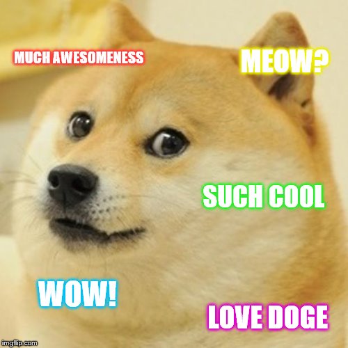 Doge Of Cool! {In Doge Language=Such Cool!} | MUCH AWESOMENESS; MEOW? SUCH COOL; WOW! LOVE DOGE | image tagged in memes,doge,blahvbuybgycv | made w/ Imgflip meme maker