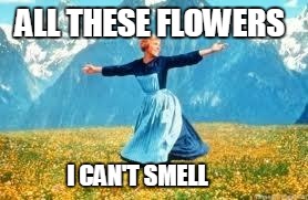 Look At All These Meme | ALL THESE FLOWERS; I CAN'T SMELL | image tagged in memes,look at all these | made w/ Imgflip meme maker