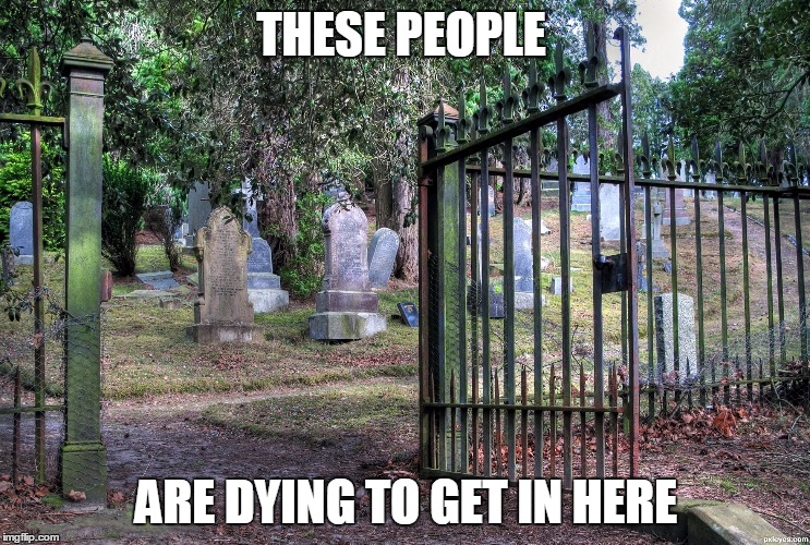 Cemetery | THESE PEOPLE; ARE DYING TO GET IN HERE | image tagged in cemetery | made w/ Imgflip meme maker