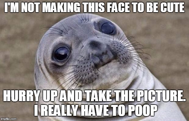 Awkward Moment Sealion | I'M NOT MAKING THIS FACE TO BE CUTE; HURRY UP AND TAKE THE PICTURE. I REALLY HAVE TO POOP | image tagged in memes,awkward moment sealion | made w/ Imgflip meme maker