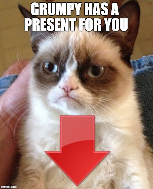 Grumpy Cat Meme | GRUMPY HAS A PRESENT FOR YOU | image tagged in memes,grumpy cat | made w/ Imgflip meme maker