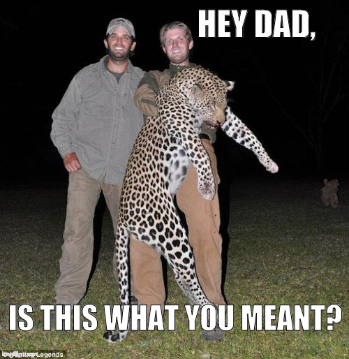 Eric and Donald Trump Jr | HEY DAD, IS THIS WHAT YOU MEANT? | image tagged in trump boys,trump,donald trump | made w/ Imgflip meme maker
