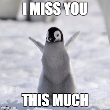 Happy penguin | I MISS YOU; THIS MUCH | image tagged in happy penguin | made w/ Imgflip meme maker