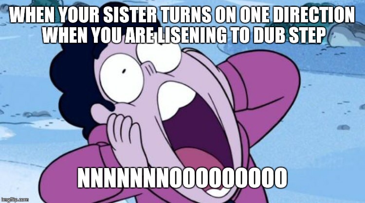 Steven Universe NOOO | WHEN YOUR SISTER TURNS ON ONE DIRECTION WHEN YOU ARE LISENING TO DUB STEP; NNNNNNNOOOOOOOOO | image tagged in steven universe nooo | made w/ Imgflip meme maker