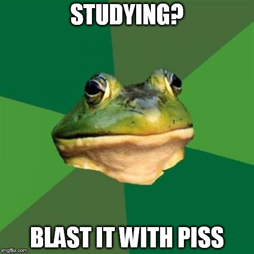Foul Bachelor Frog Meme | STUDYING? BLAST IT WITH PISS | image tagged in memes,foul bachelor frog | made w/ Imgflip meme maker