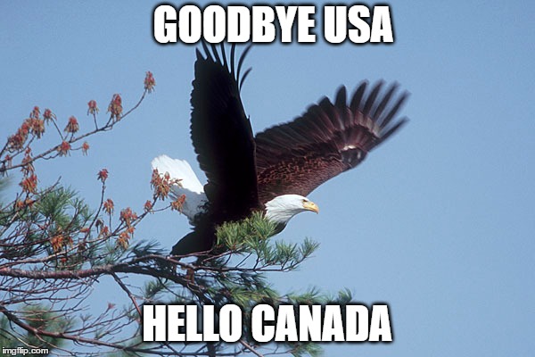 GOODBYE USA HELLO CANADA | made w/ Imgflip meme maker