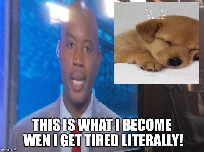 news report live | THIS IS WHAT I BECOME WEN I GET TIRED LITERALLY! | image tagged in sleepy,news,puppy | made w/ Imgflip meme maker