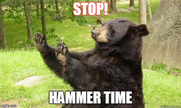 How about no bear | STOP! HAMMER TIME | image tagged in how about no bear | made w/ Imgflip meme maker