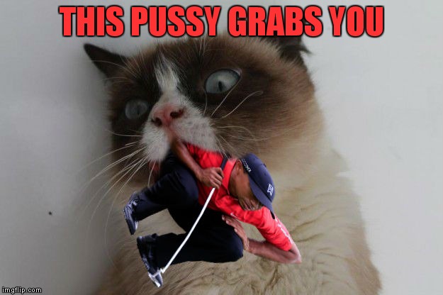 THIS PUSSY GRABS YOU | made w/ Imgflip meme maker