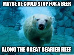 MAYBE HE COULD STOP FOR A BEER ALONG THE GREAT BEARIER REEF | made w/ Imgflip meme maker
