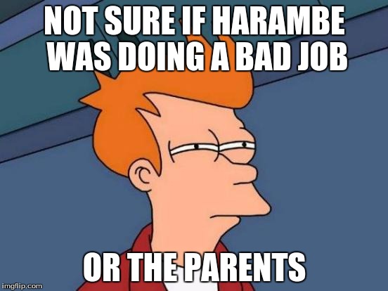 Was it his fault? | NOT SURE IF HARAMBE WAS DOING A BAD JOB; OR THE PARENTS | image tagged in memes,futurama fry | made w/ Imgflip meme maker