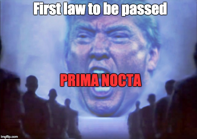 Trump's first law enacted | First law to be passed; PRIMA NOCTA | image tagged in donald trump,trump,maga,prima nocta,fail,graham-cassidy | made w/ Imgflip meme maker