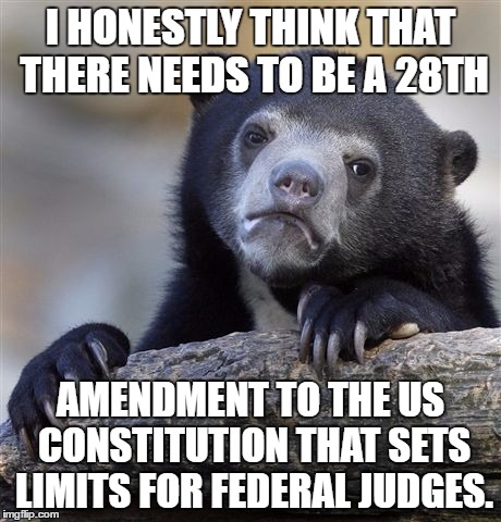 Confession Bear Meme | I HONESTLY THINK THAT THERE NEEDS TO BE A 28TH; AMENDMENT TO THE US CONSTITUTION THAT SETS LIMITS FOR FEDERAL JUDGES. | image tagged in memes,confession bear | made w/ Imgflip meme maker