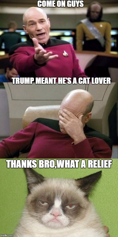 COME ON GUYS                                                                                                                                                                                                          TRUMP MEANT HE'S A CAT LOVER; THANKS BRO,WHAT A RELIEF | image tagged in captain picard,captain picard facepalm,donald trump,angry cat | made w/ Imgflip meme maker