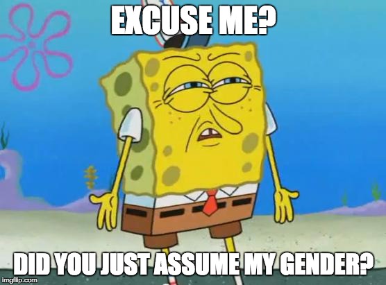 Angry Spongebob | EXCUSE ME? DID YOU JUST ASSUME MY GENDER? | image tagged in angry spongebob | made w/ Imgflip meme maker