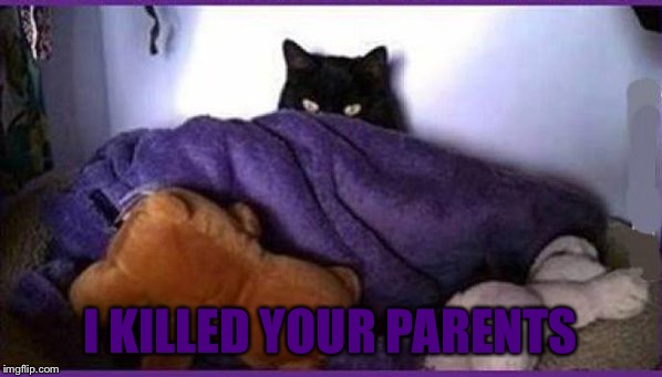 . | I KILLED YOUR PARENTS | image tagged in making plans,memes,evil cat | made w/ Imgflip meme maker