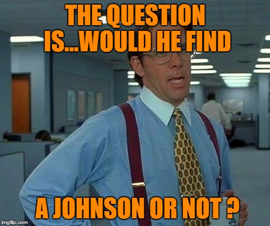 That Would Be Great Meme | THE QUESTION IS...WOULD HE FIND A JOHNSON OR NOT ? | image tagged in memes,that would be great | made w/ Imgflip meme maker