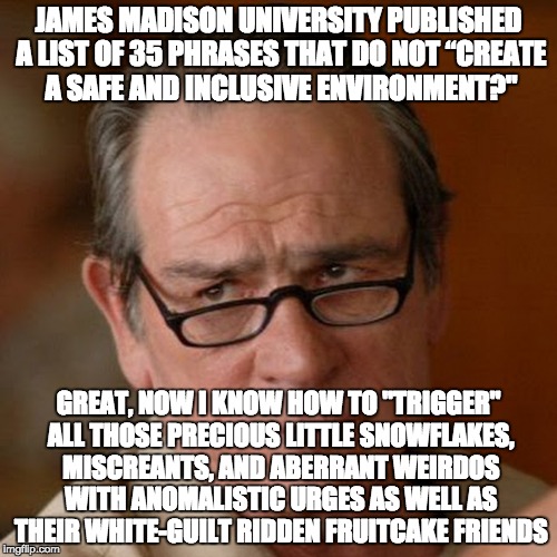 Tommy Lee Jones Are you serious | JAMES MADISON UNIVERSITY PUBLISHED A LIST OF 35 PHRASES THAT DO NOT “CREATE A SAFE AND INCLUSIVE ENVIRONMENT?"; GREAT, NOW I KNOW HOW TO "TRIGGER" ALL THOSE PRECIOUS LITTLE SNOWFLAKES, MISCREANTS, AND ABERRANT WEIRDOS WITH ANOMALISTIC URGES AS WELL AS THEIR WHITE-GUILT RIDDEN FRUITCAKE FRIENDS | image tagged in tommy lee jones are you serious | made w/ Imgflip meme maker