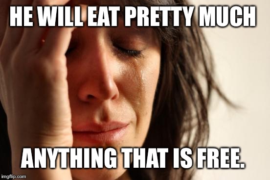 First World Problems Meme | HE WILL EAT PRETTY MUCH ANYTHING THAT IS FREE. | image tagged in memes,first world problems | made w/ Imgflip meme maker