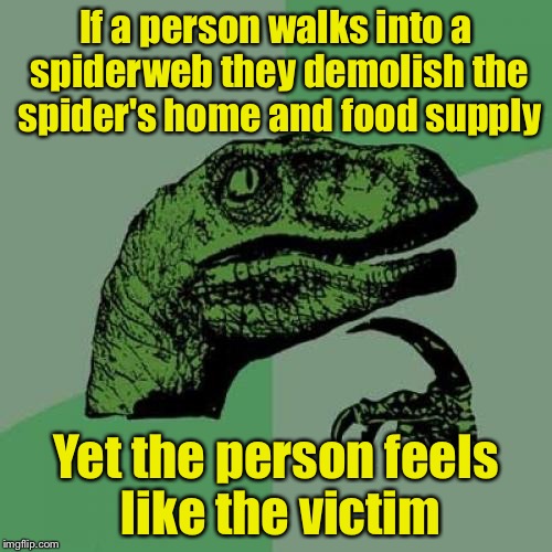 Philosoraptor Meme | If a person walks into a spiderweb they demolish the spider's home and food supply; Yet the person feels like the victim | image tagged in memes,philosoraptor | made w/ Imgflip meme maker