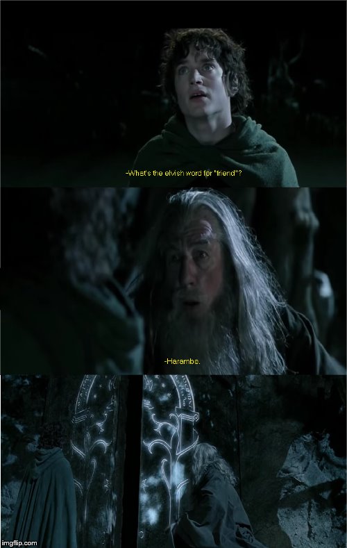 I should be cast into the fiery chasm for this aberration, but I couldn't resist. | image tagged in harambe,lord of the rings | made w/ Imgflip meme maker