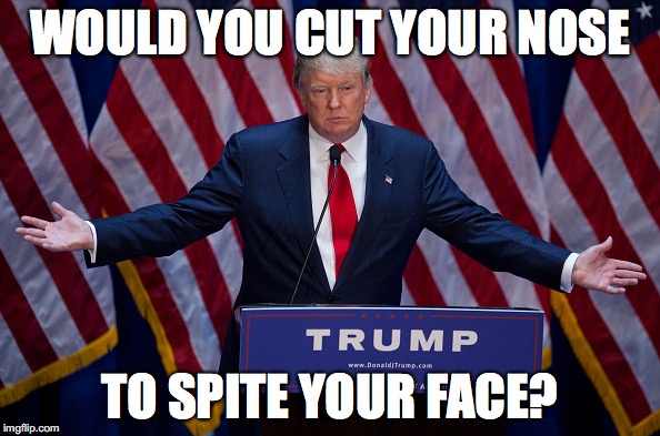 Donald Trump | WOULD YOU CUT YOUR NOSE; TO SPITE YOUR FACE? | image tagged in donald trump | made w/ Imgflip meme maker