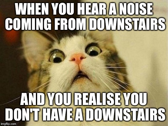 WHEN YOU HEAR A NOISE COMING FROM DOWNSTAIRS AND YOU REALISE YOU DON'T HAVE A DOWNSTAIRS | made w/ Imgflip meme maker