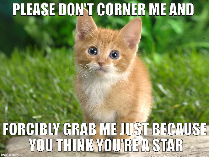 Pussies don't like to be grabbed | PLEASE DON'T CORNER ME AND; FORCIBLY GRAB ME JUST BECAUSE YOU THINK YOU'RE A STAR | image tagged in trump grabs that pussy | made w/ Imgflip meme maker