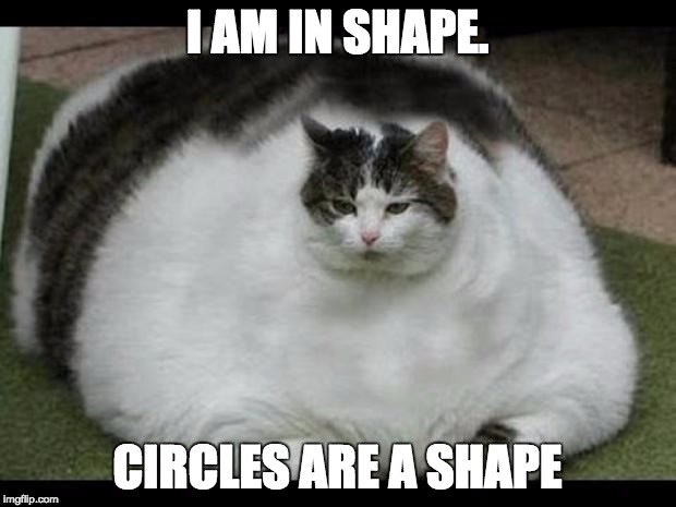 fat cat 2 | I AM IN SHAPE. CIRCLES ARE A SHAPE | image tagged in fat cat 2 | made w/ Imgflip meme maker