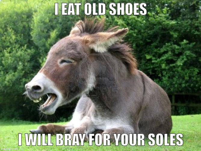 donkey | I EAT OLD SHOES; I WILL BRAY FOR YOUR SOLES | image tagged in donkey,shoes | made w/ Imgflip meme maker