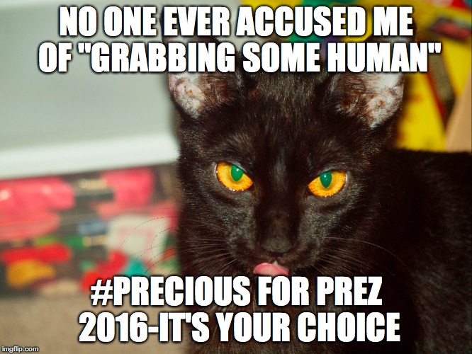 NO ONE EVER ACCUSED ME OF "GRABBING SOME HUMAN"; #PRECIOUS FOR PREZ 2016-IT'S YOUR CHOICE | image tagged in preciousforprez | made w/ Imgflip meme maker