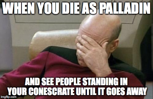 Captain Picard Facepalm Meme | WHEN YOU DIE AS PALLADIN; AND SEE PEOPLE STANDING IN YOUR CONESCRATE UNTIL IT GOES AWAY | image tagged in memes,captain picard facepalm | made w/ Imgflip meme maker