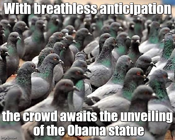 Obama statue | With breathless anticipation; the crowd awaits the unveiling of the Obama statue | image tagged in memes,obama,birds,pigeons,statue | made w/ Imgflip meme maker