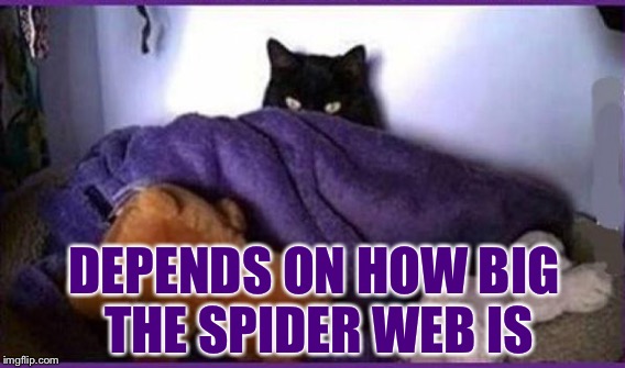 DEPENDS ON HOW BIG THE SPIDER WEB IS | made w/ Imgflip meme maker